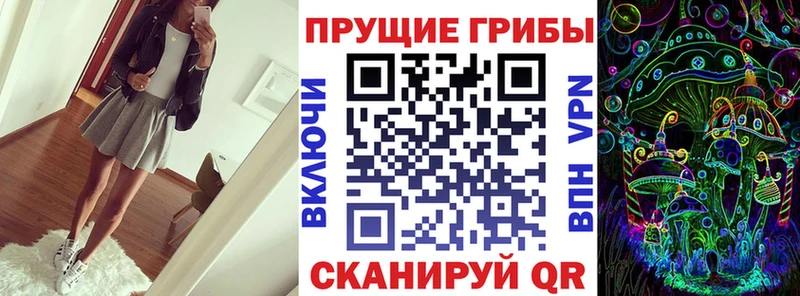 Галлюциногенные грибы мицелий  shop какой сайт  Кувандык 
